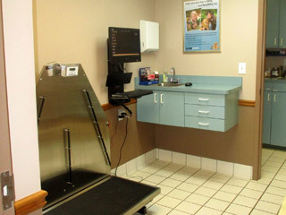 Chastain Animal Clinic Room with scale and computer
