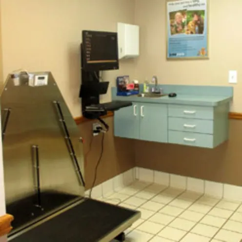 Chastain Animal Clinic Room with scale and computer