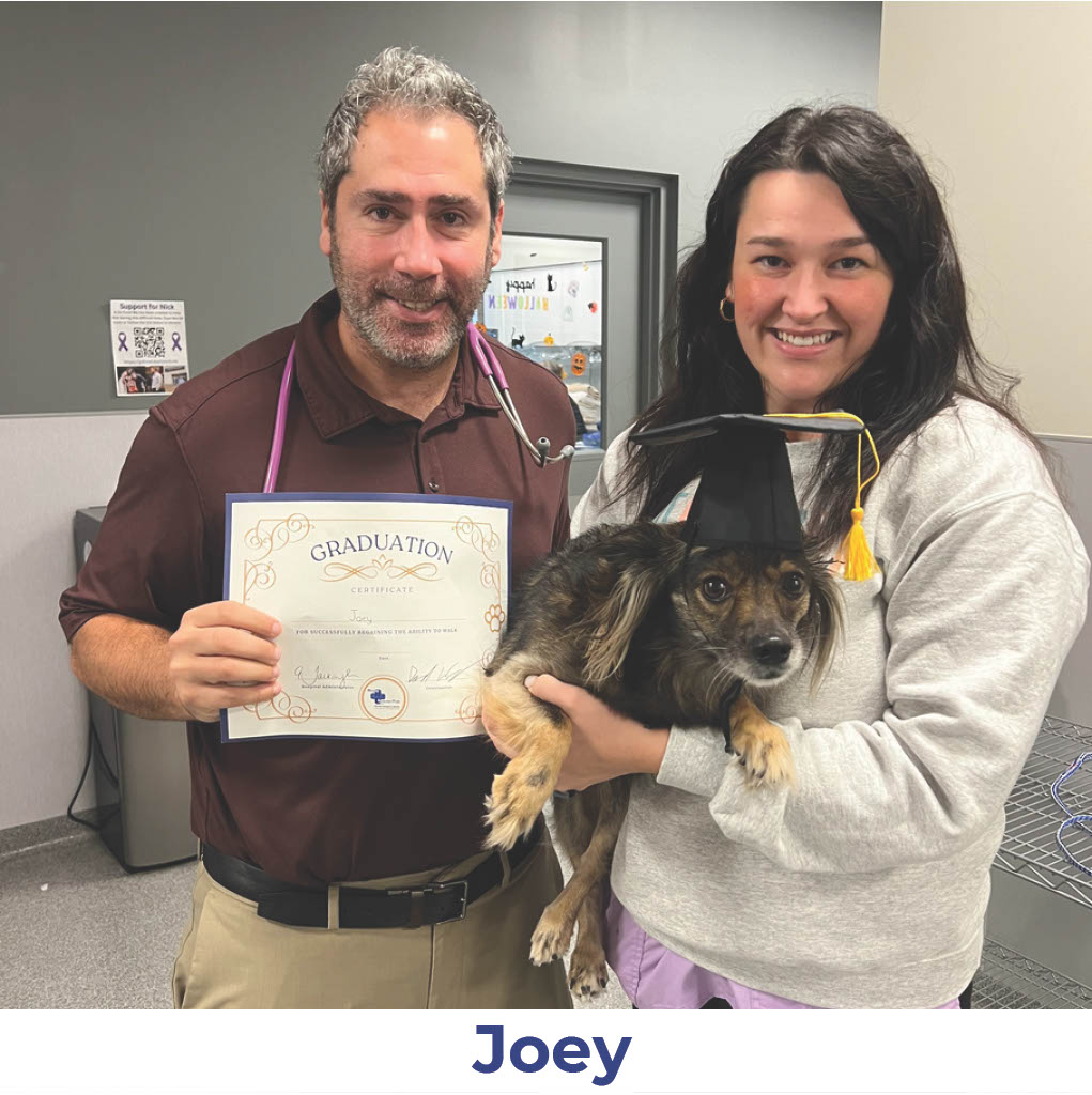 Joey the dog with Neurology Graduate Hall of Fame certificate