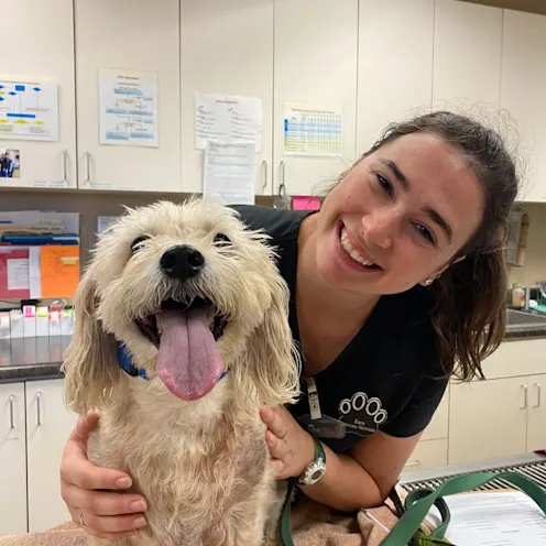 Staff smiling with dog at Pima North Animal Hospital. Staff smiling with dog at Pima North Animal Hospital.