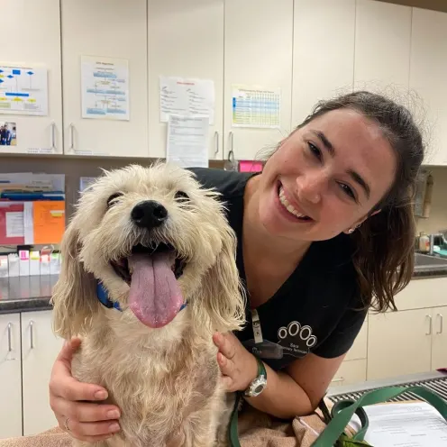 Staff smiling with dog at Pima North Animal Hospital.