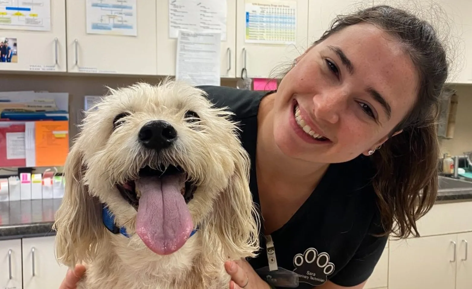 Staff smiling with dog at Pima North Animal Hospital.