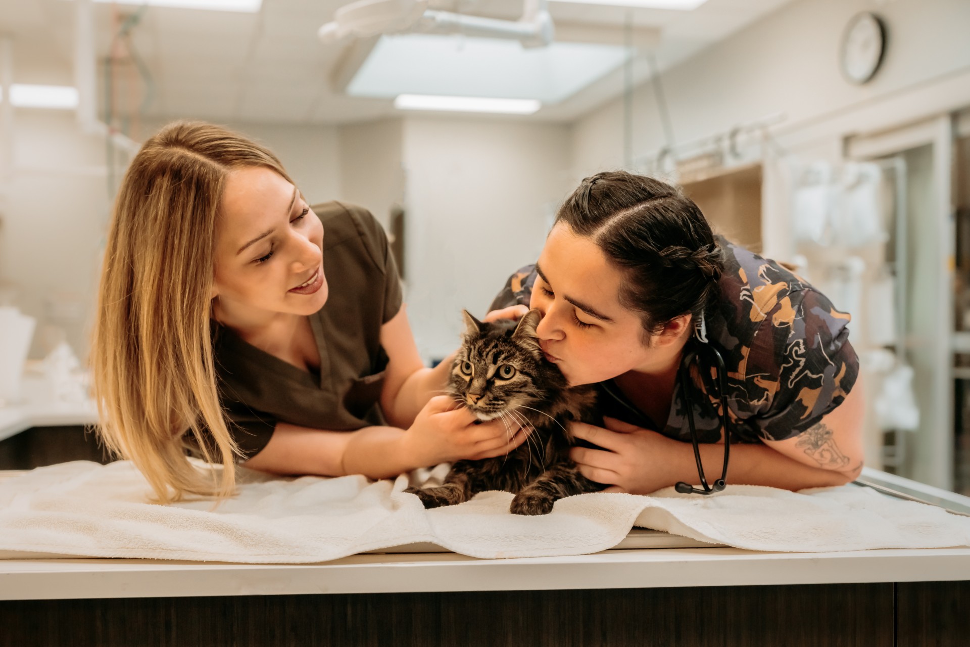 Two vets kissing a kitten