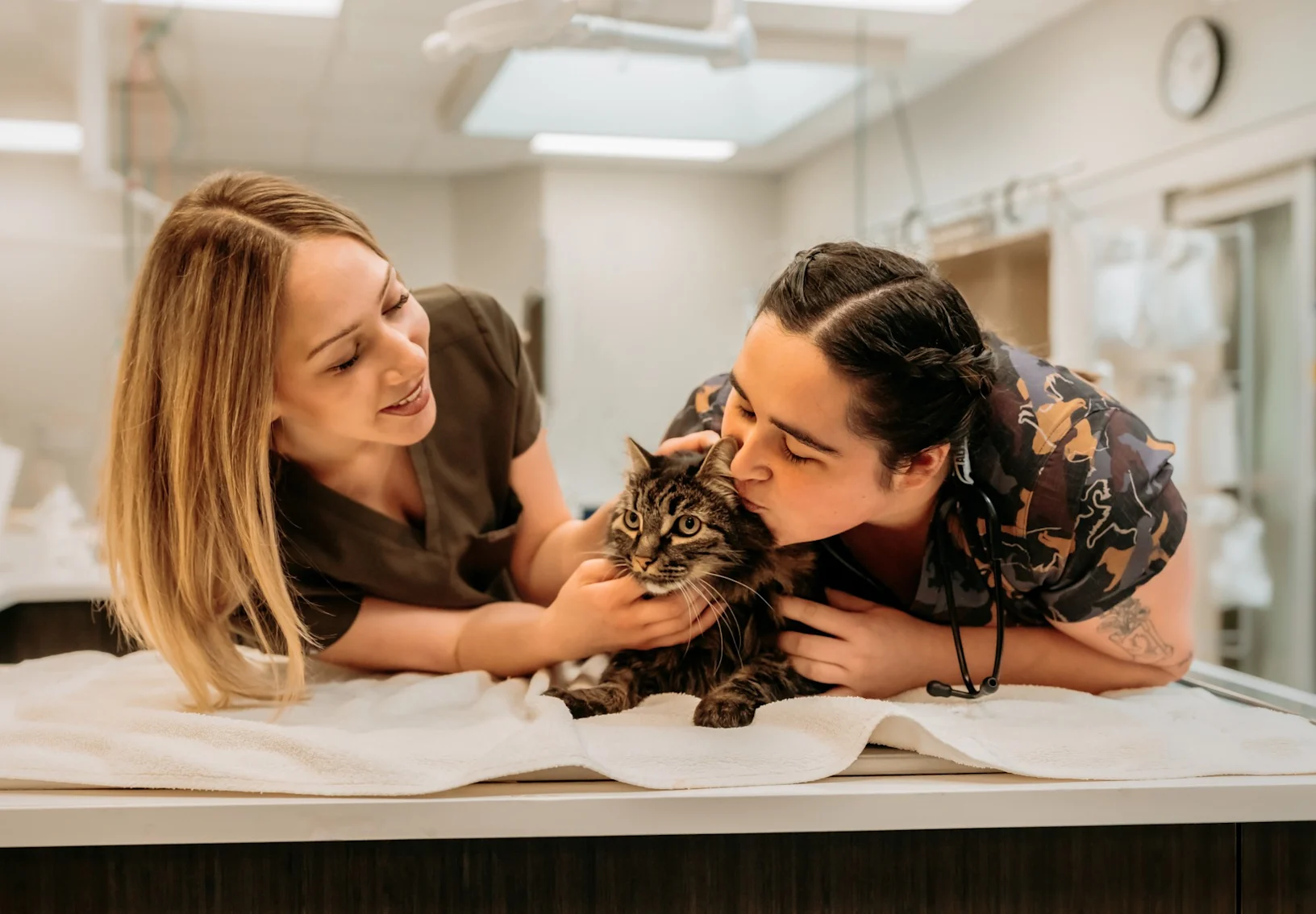 Two vets kissing a kitten Two vets kissing a kitten