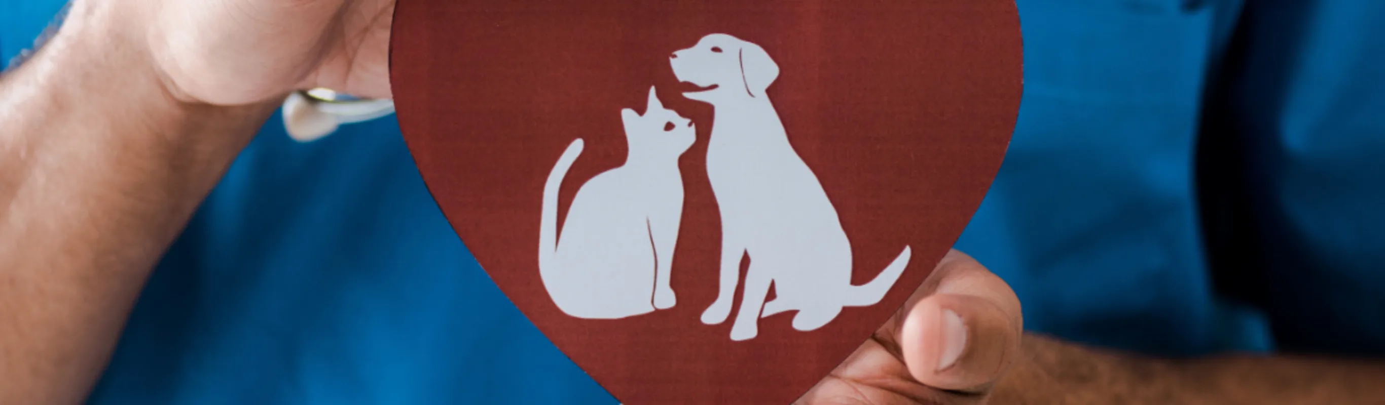 Veterinarian Holding Heart with Logo Veterinarian Holding Heart with Logo