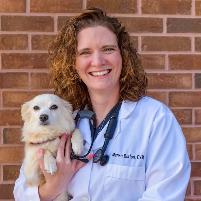 Marisa Burton Marisa Burton