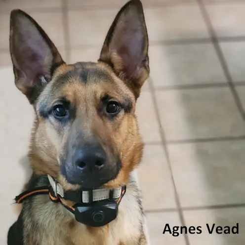 Agnes Vead Agnes Vead