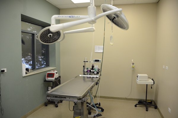 Elmhurst Animal Care Center Surgery Table