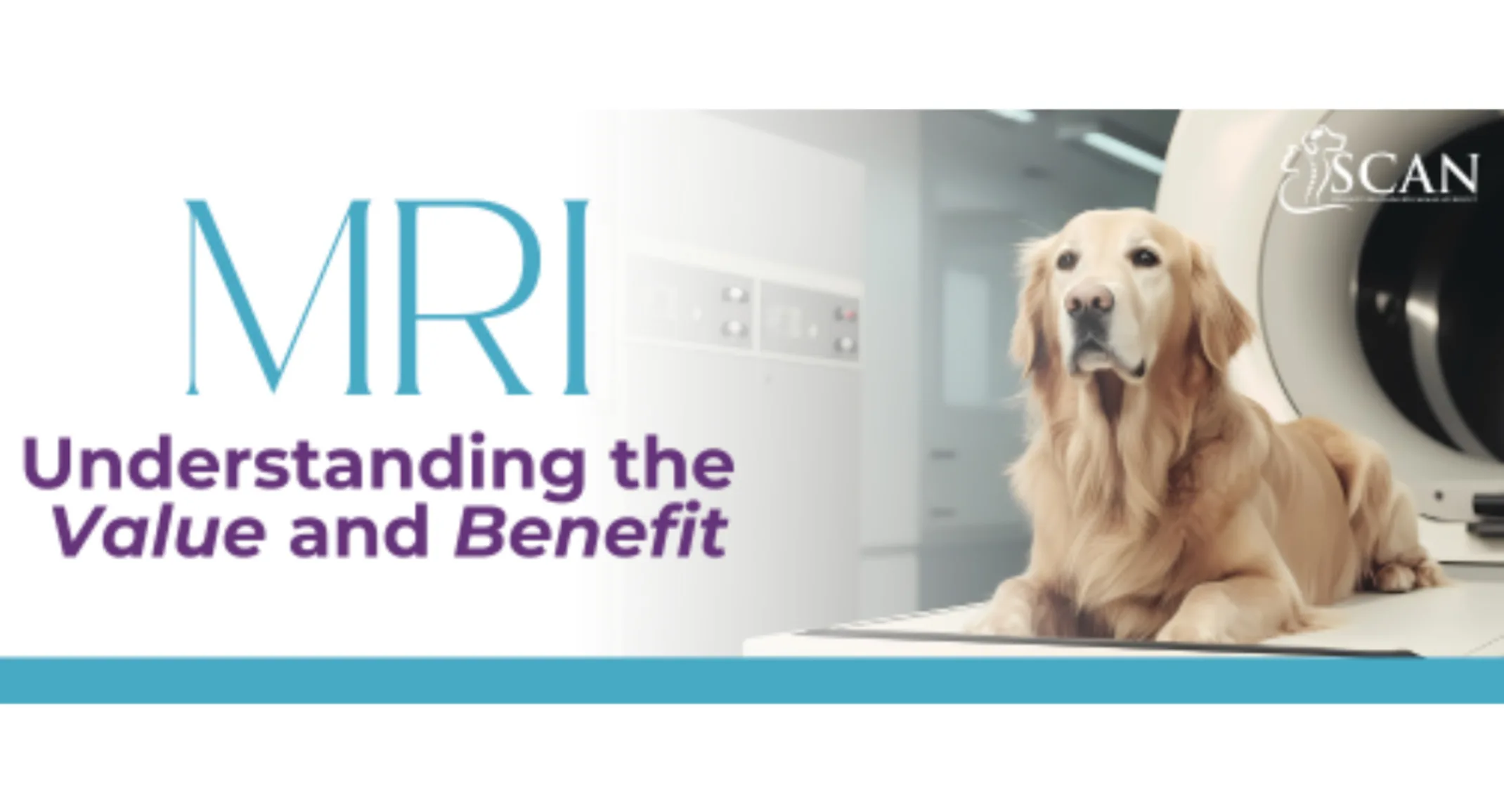 A dog in a MRI machine with the text "MRI Understanding the Value and Benefit" A dog in a MRI machine with the text "MRI Understanding the Value and Benefit"