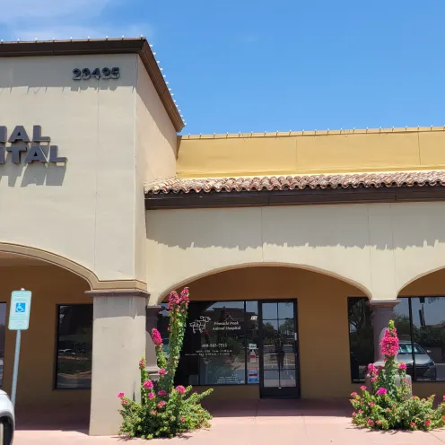 The front of Pinnacle Peak Animal Hospital with two large plants in front
