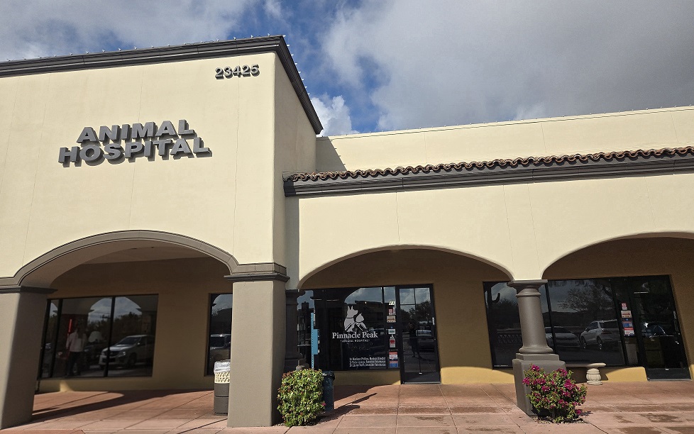 The front of Pinnacle Peak Animal Hospital with two large plants in front