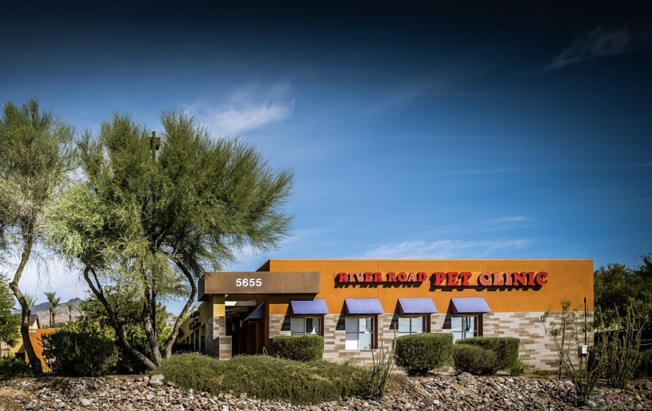 Animal Hospital in Tucson Arizona River Road Pet Clinic