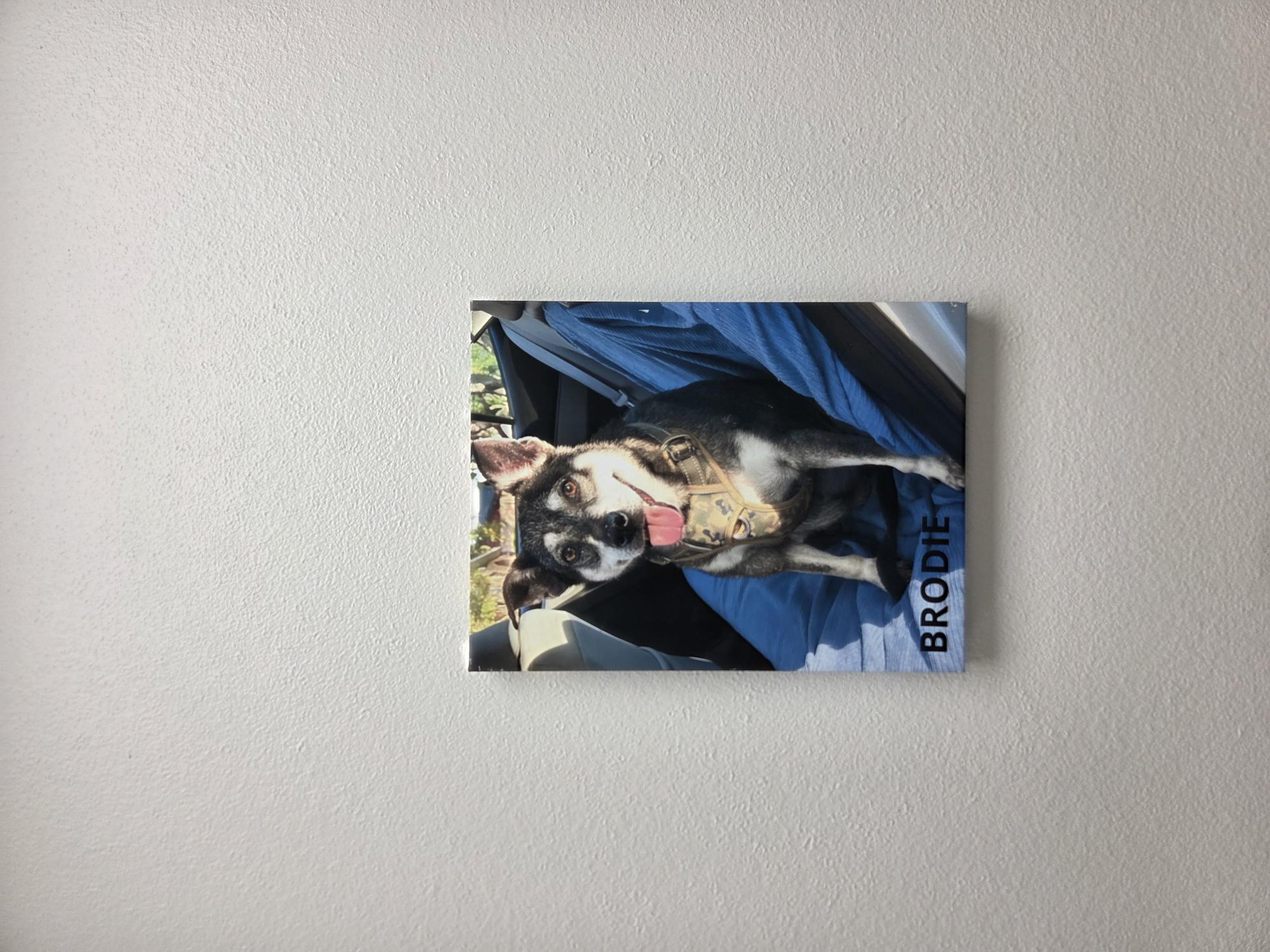 A painting of a dog sitting