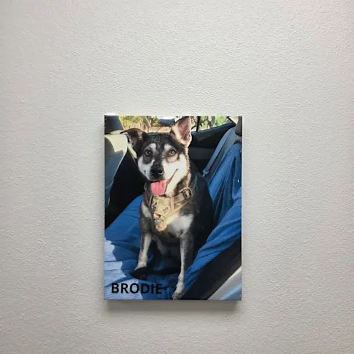 A painting of a dog sitting A painting of a dog sitting