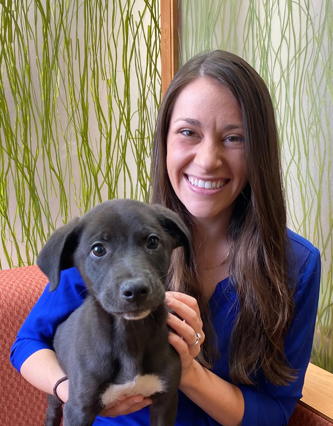 Dr. Maria Sprang Dr. Maria Sprang