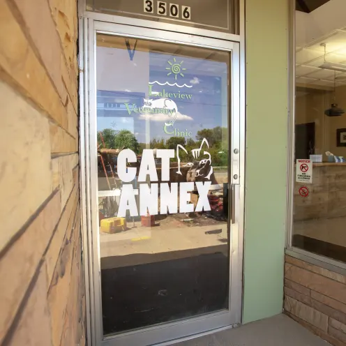 Cat Annex Door