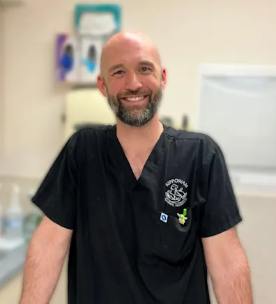 pencil puppy pencil puppy