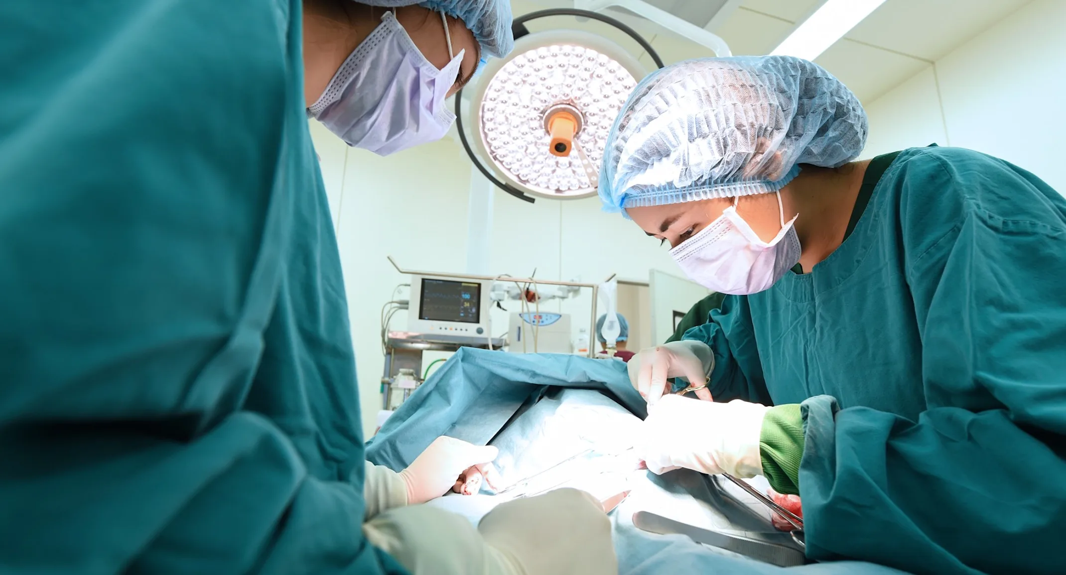 Two Surgeons are operating on a pet on a surgical table. Two Surgeons are operating on a pet on a surgical table.