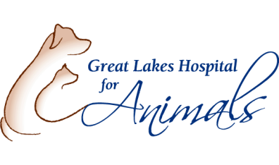 Great Lakes Hospital for Animals Logo
