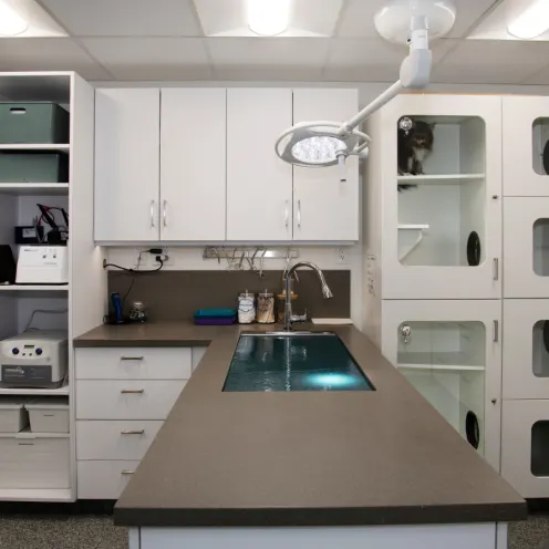 Pet holding room with kennels, cabinets, and a large sink