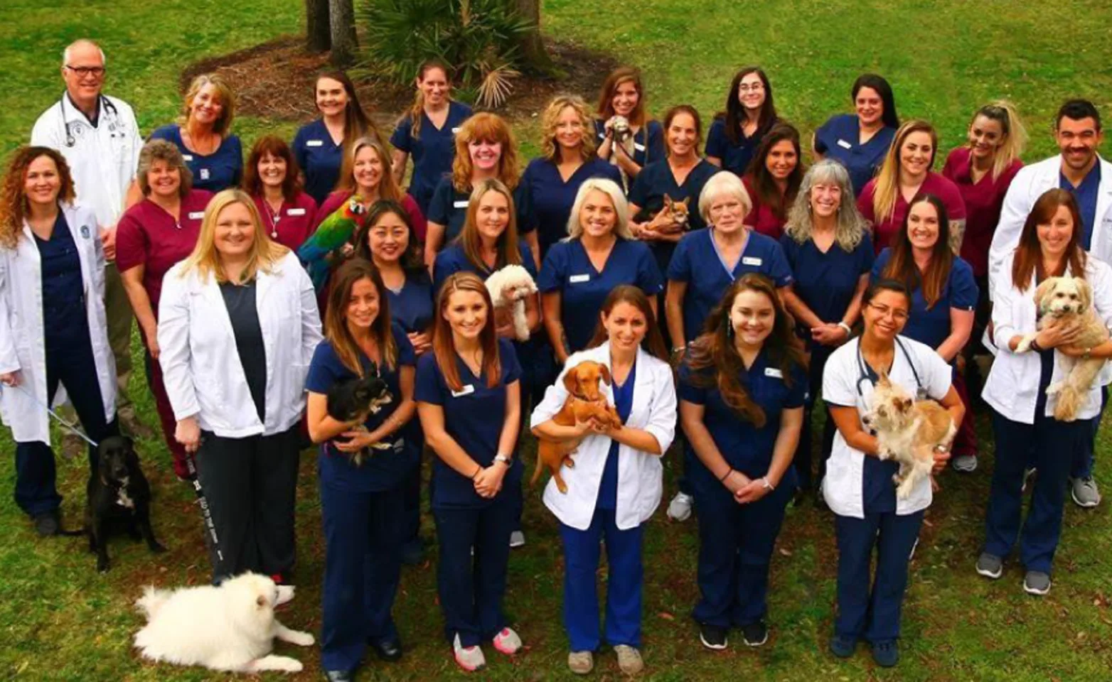 Group photo of the entire staff outside.