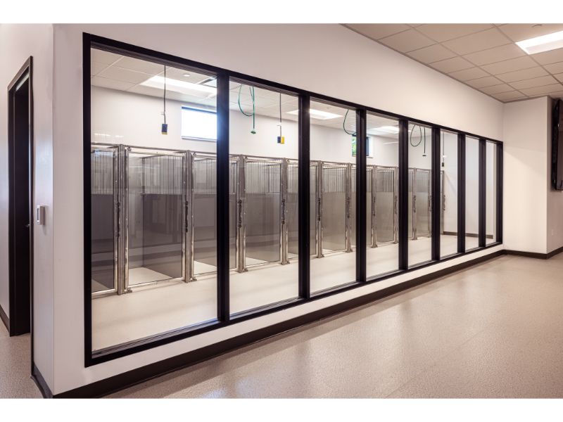 Recovery kennel room