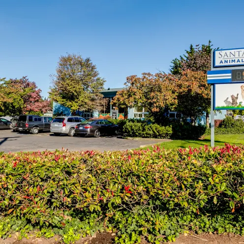 Outside facility of Santa Clara Animal Hospital