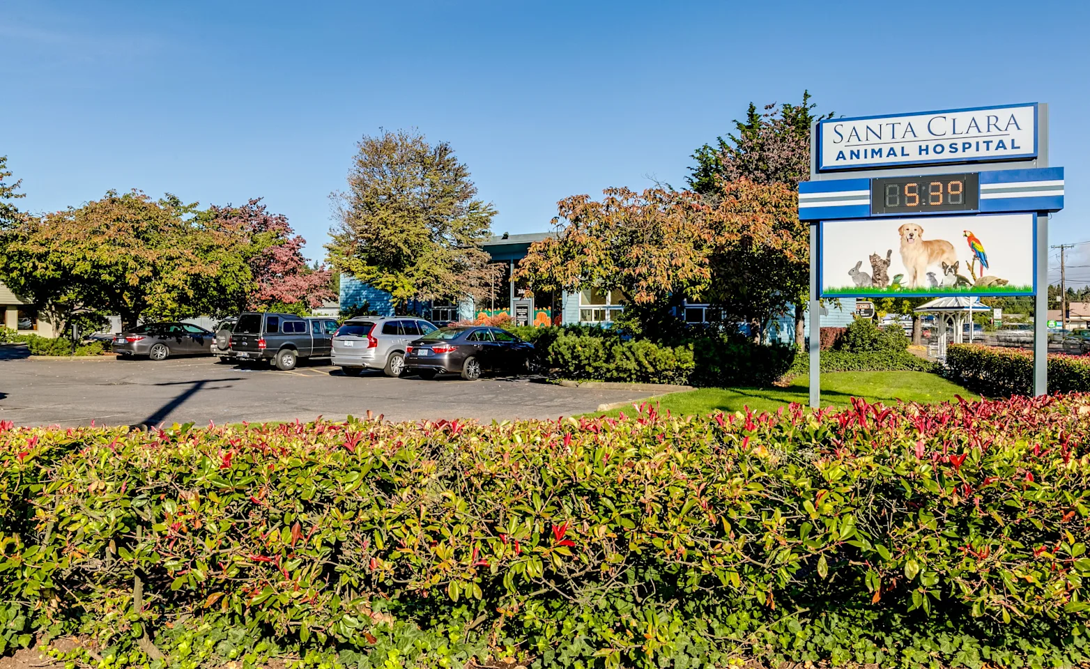 Outside facility of Santa Clara Animal Hospital Outside facility of Santa Clara Animal Hospital