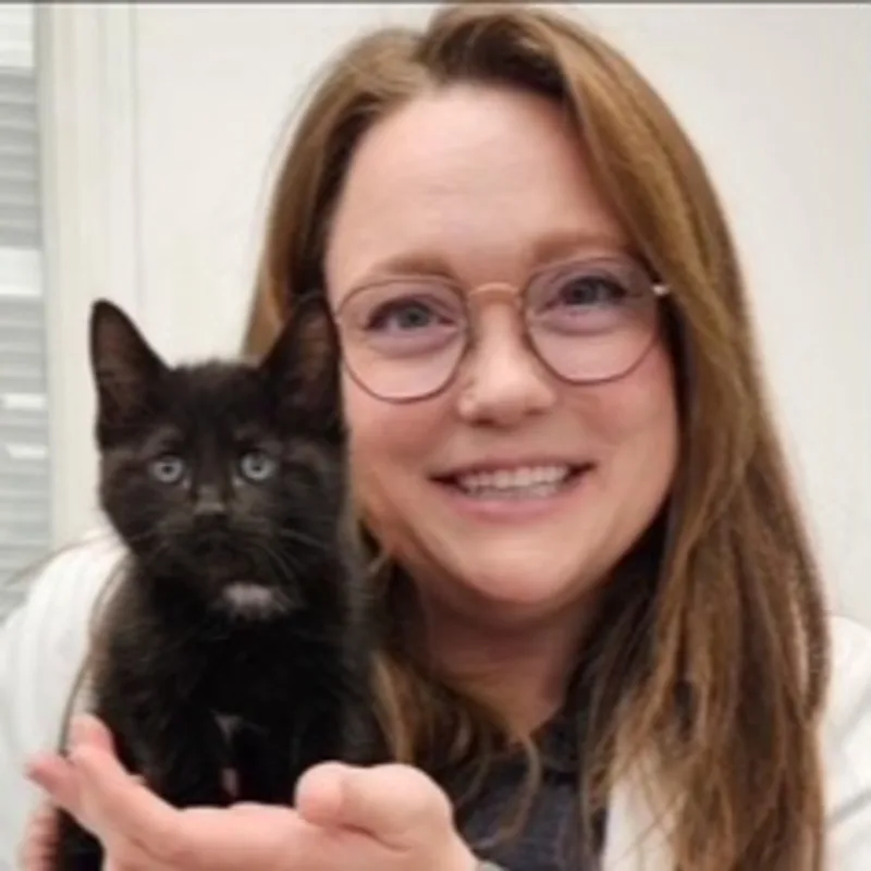 Starting August 26th- Dr. Jean Cruse Starting August 26th- Dr. Jean Cruse