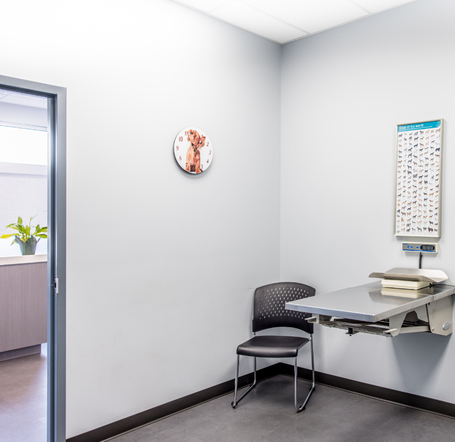 Room with chair and examination table