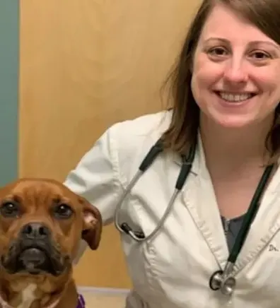 Dr. Stacey Sood Dr. Stacey Sood