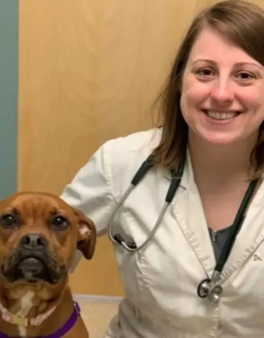 Dr. Stacey Sood Dr. Stacey Sood