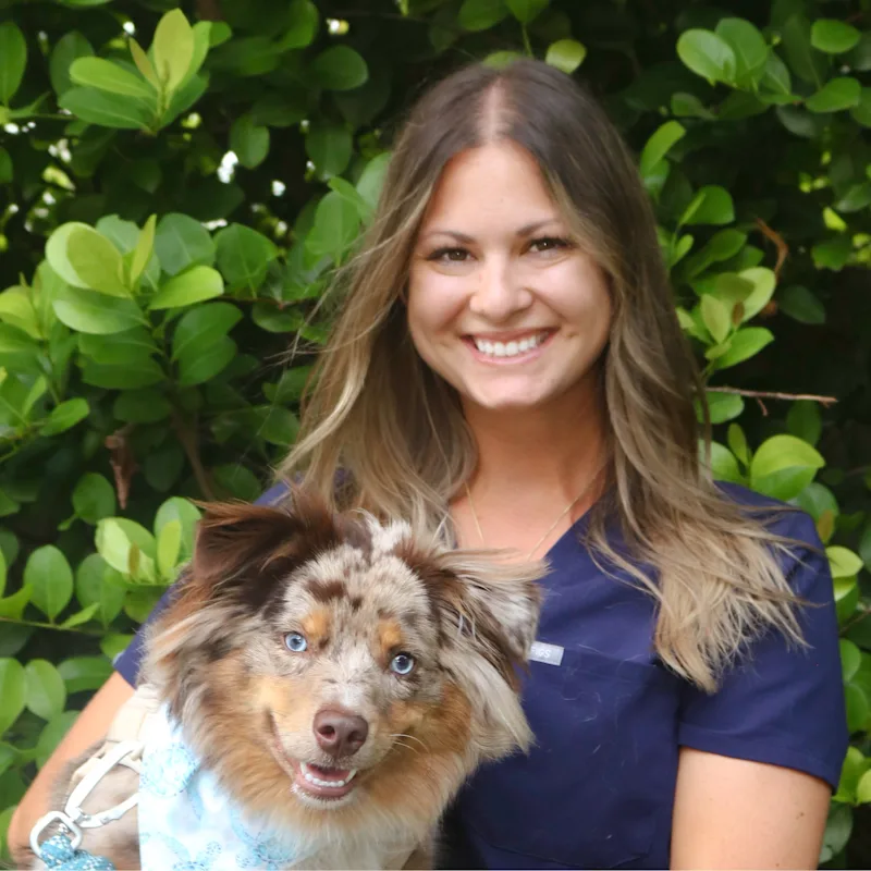 Dr. Jenifer Prine Dr. Jenifer Prine