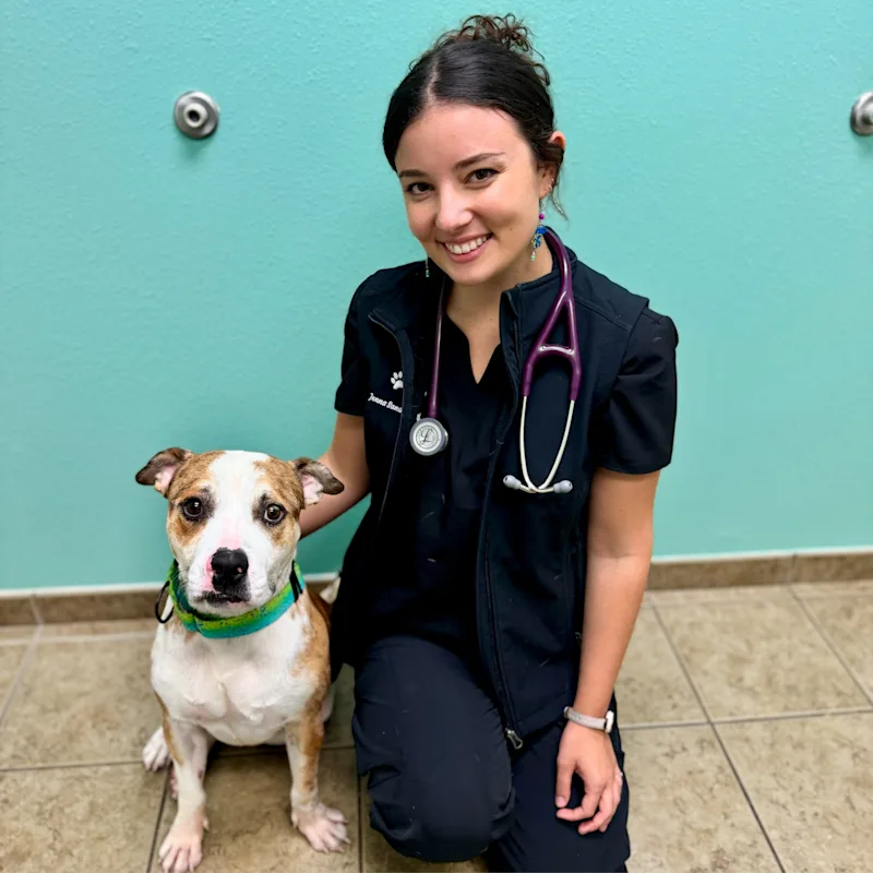 Dr. Jenna Sandoli Dr. Jenna Sandoli