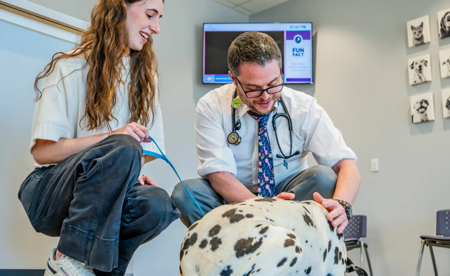 Vet and Pet Parent on floor with dalmation Vet and Pet Parent on floor with dalmation