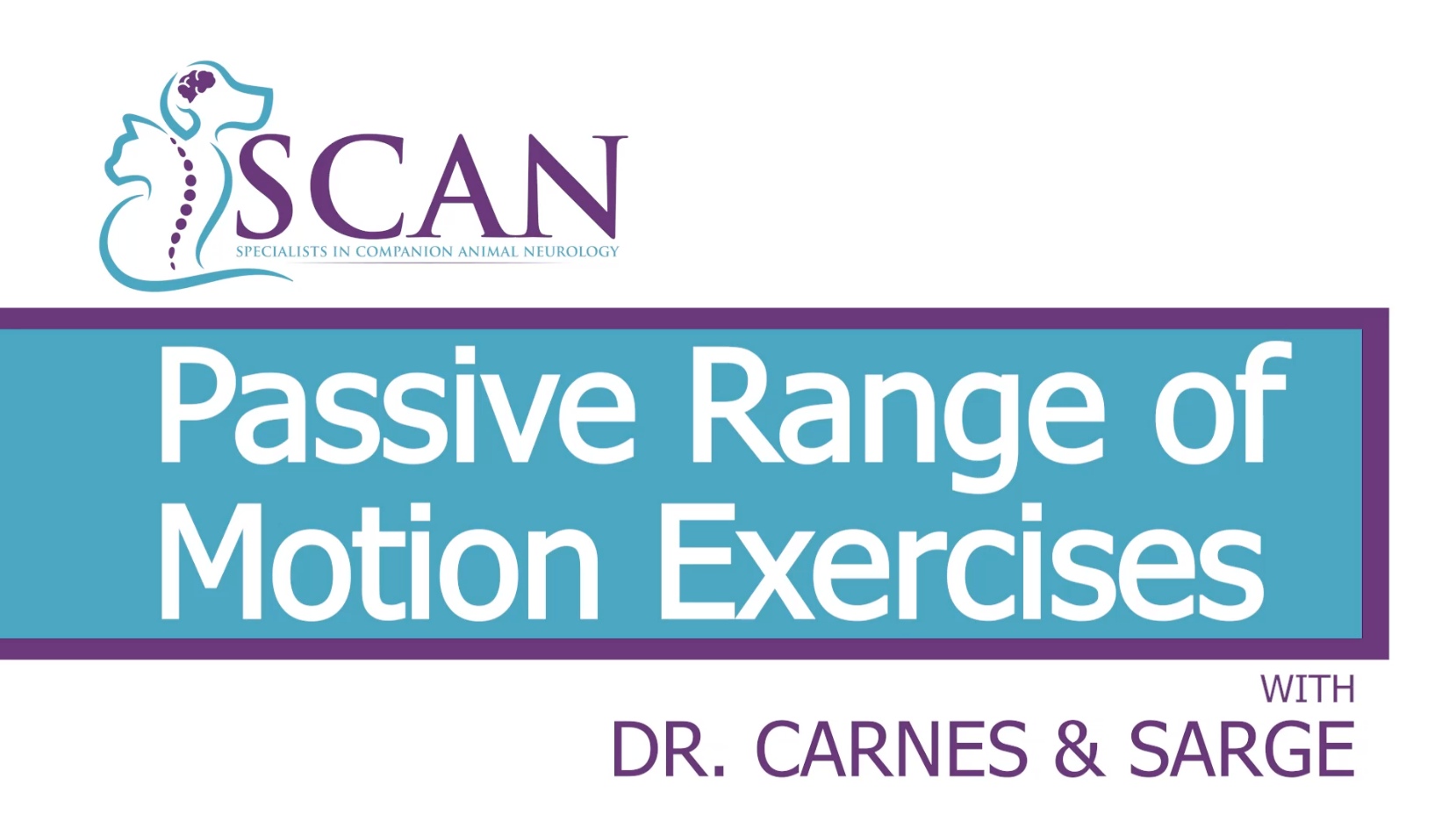 Dr. Carnes explains Passive Range of Motion exercises