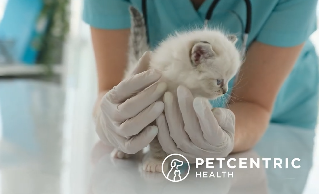 PetCentric Video Thumbnail