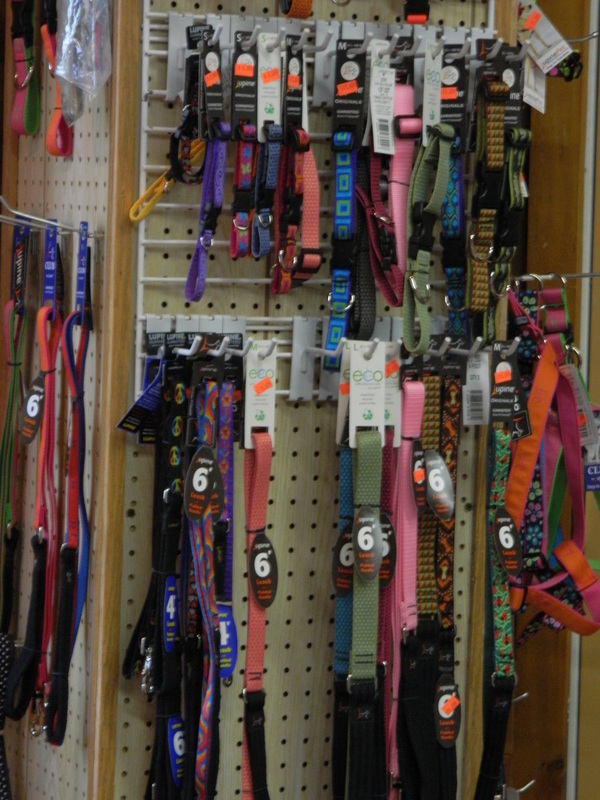 An assortment of dog collars available at All Creatures Veterinary Clinic