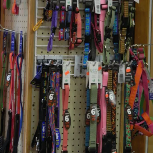An assortment of dog collars available at All Creatures Veterinary Clinic