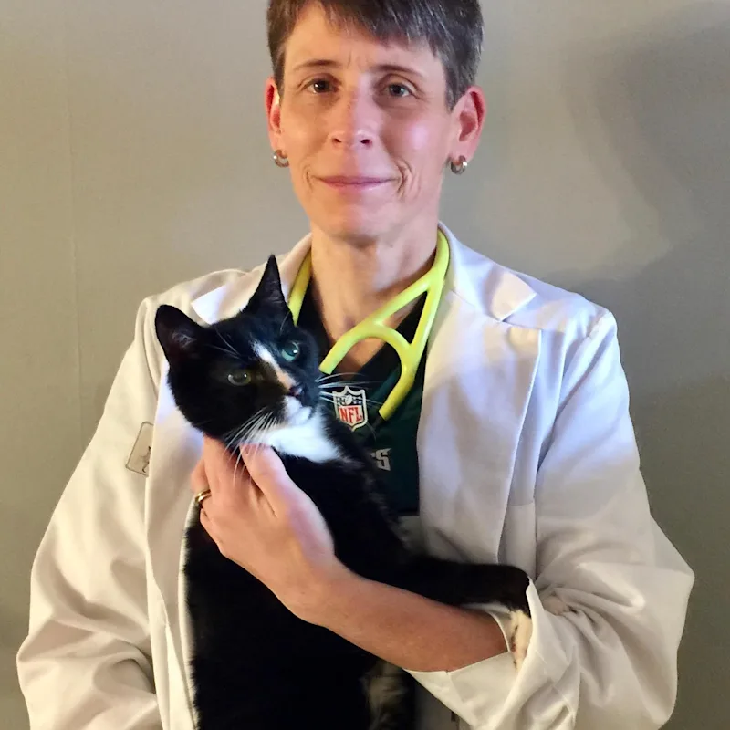 Media Veterinary Hospital Dr. Peters Media Veterinary Hospital Dr. Peters