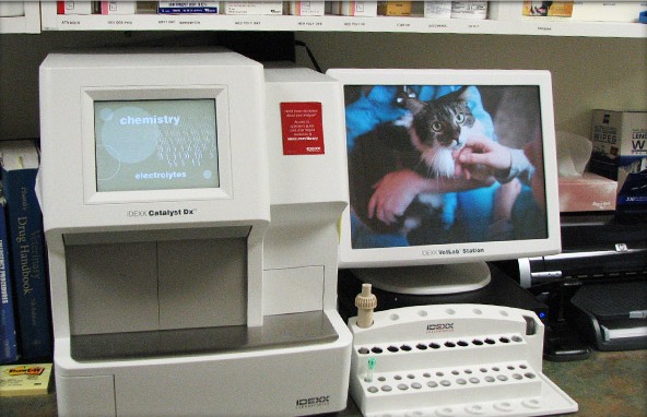 In-House Laboratory Testing