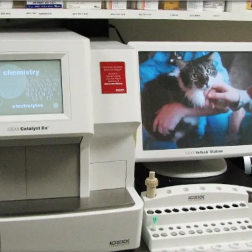In-House Laboratory Testing In-House Laboratory Testing