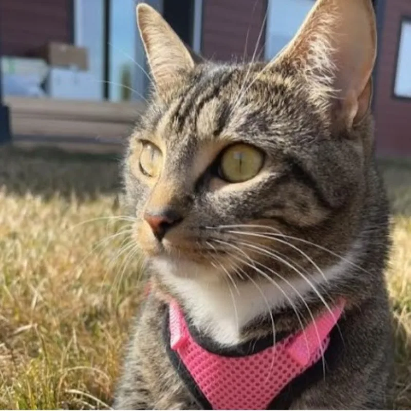 Emily Bechard Emily Bechard