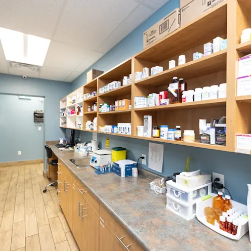 Pharmacy Shelves Pharmacy Shelves