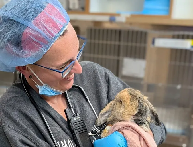 Staff member holding rabbit. Staff member holding rabbit.