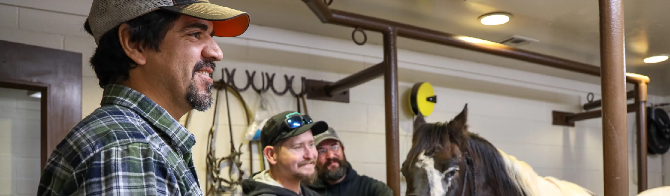 Three veterinarians with a horse Three veterinarians with a horse