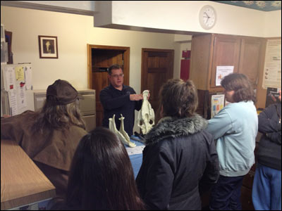 Veterinarian explaining parts of a horse jawbone