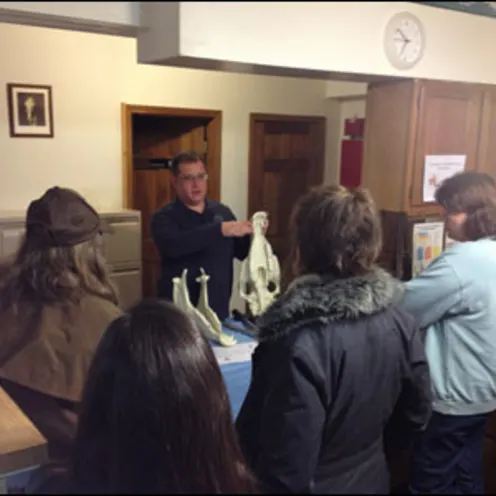 Veterinarian explaining parts of a horse jawbone Veterinarian explaining parts of a horse jawbone