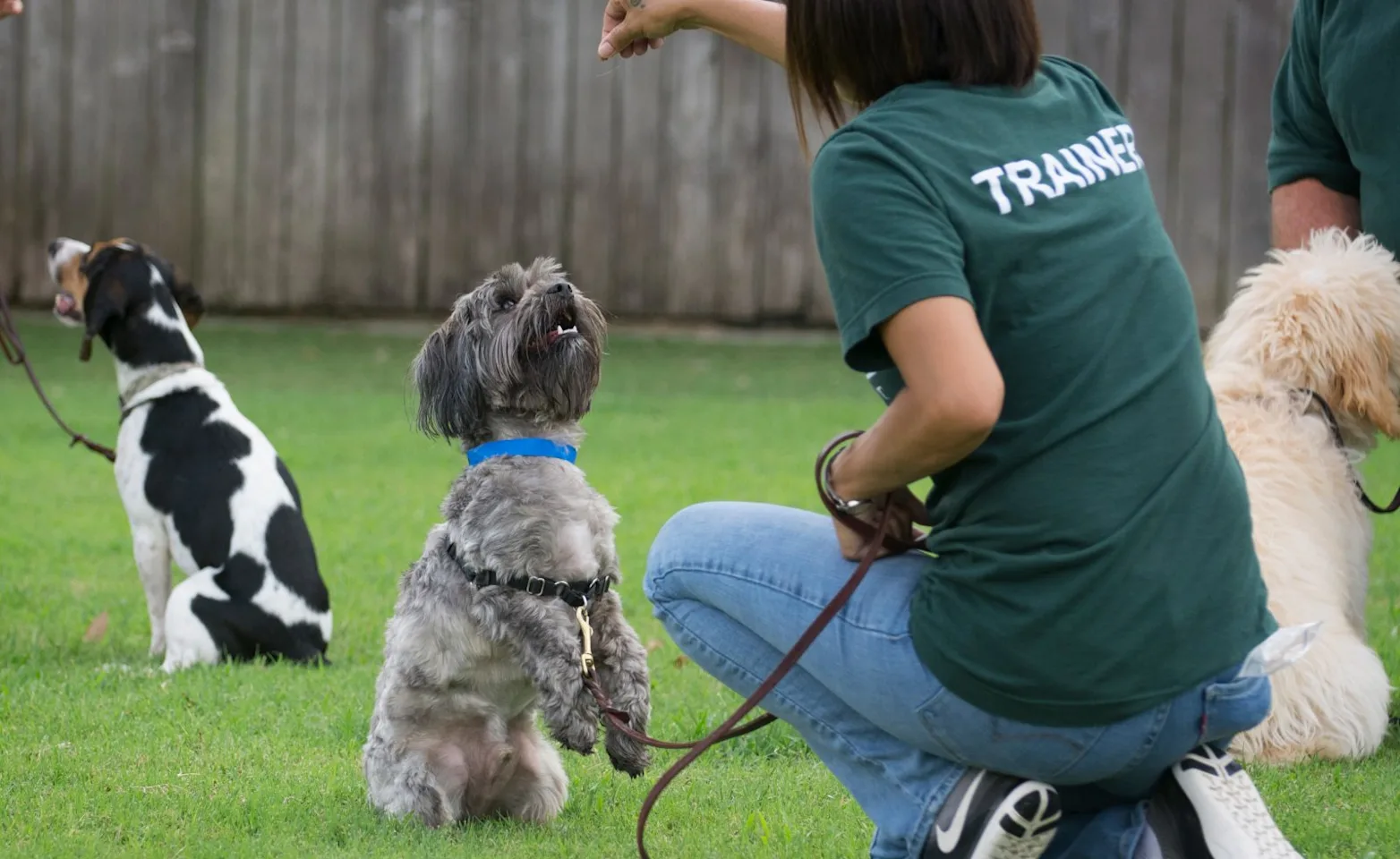 Staff holding treat with dog at Rover Oaks Pet Resort Staff holding treat with dog at Rover Oaks Pet Resort