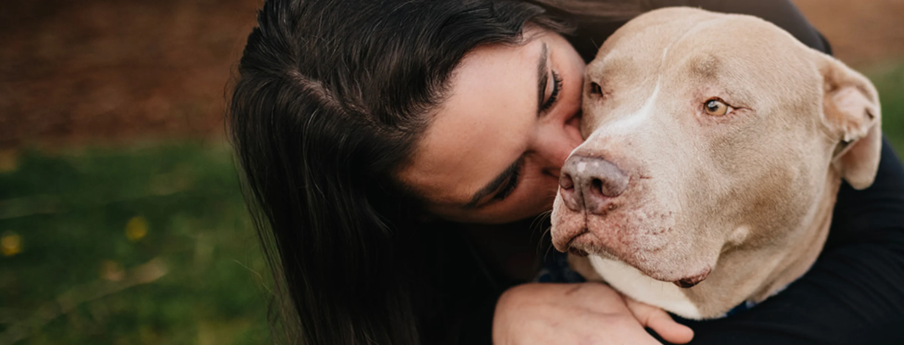 Pitbull receiving kisses from a staff member 